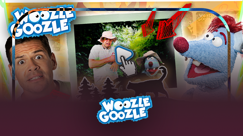 Woozle Best of